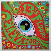 The Psychedelic Sounds